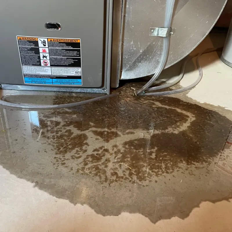 Appliance Leak Cleanup in Vanderburgh County, IN