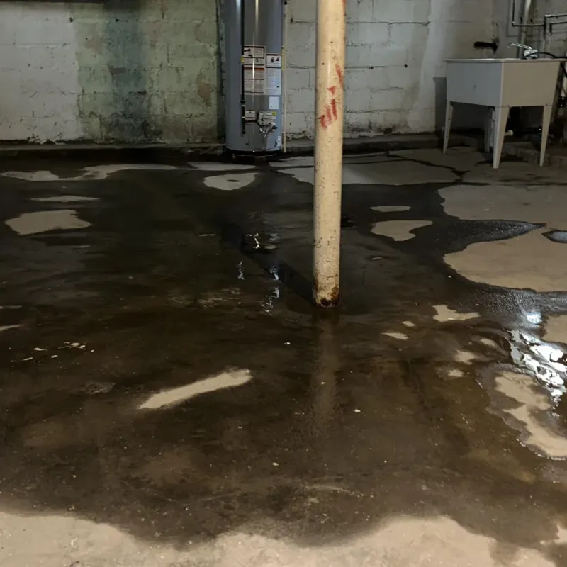 Emergency Water Extraction And Removal in Vanderburgh County, IN